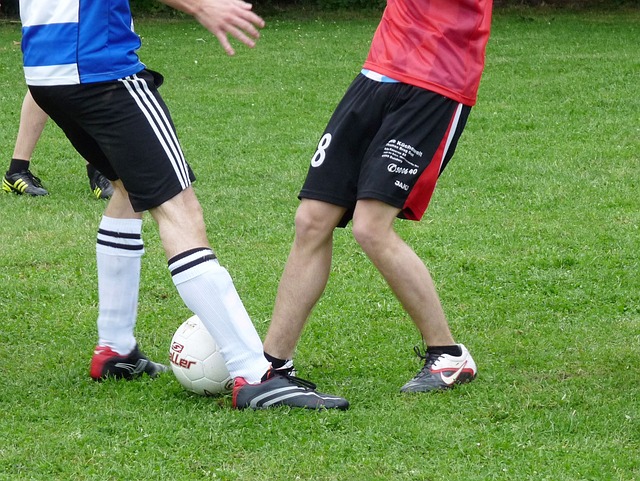 稳定发展的 稳定发展的