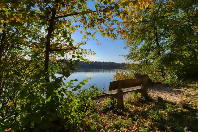 森的未来增 森的未来增