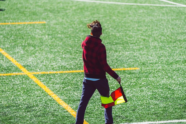 是一笔可观 是一笔可观